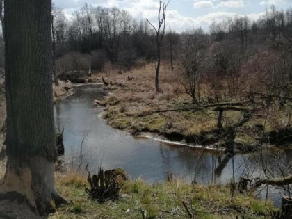 Działka budowlana Pobyłkowo Małe gm. Pokrzywnica Pobyłkowo Małe