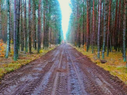 Działka 200m od rzeki Wda- Wdzydzki Park Krajobrazowy