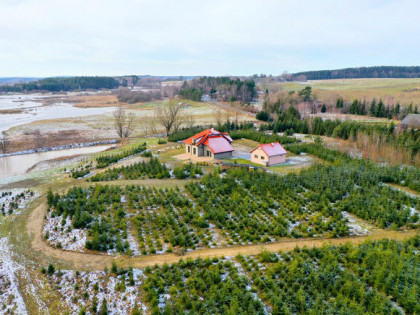 Dom wolnostojący, posiadłość 4,76 ha!! Bobrownik