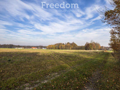 Działka w Maleniskach – Idealna pod inwestycję