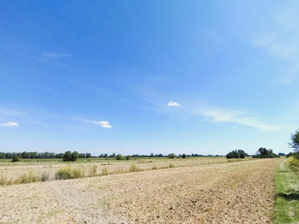 Borzęcin Działka pod inwestycję farma