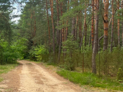 Działka budowlana Somianka,