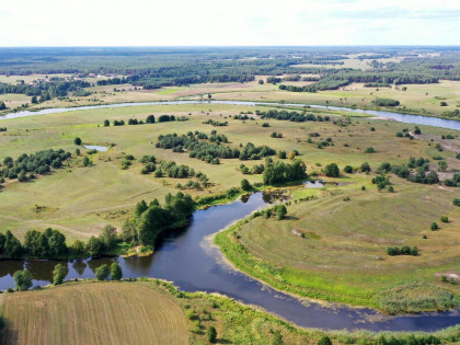 Działka Osetno