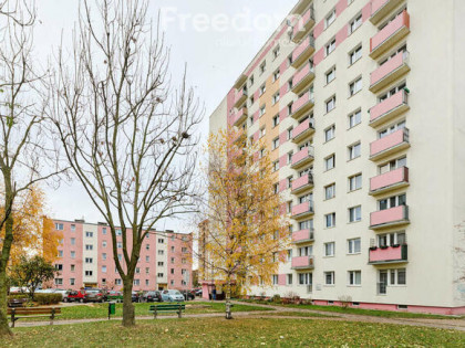 Mieszkanie w Malborku- 52,80 m2/ 3 pokoje.