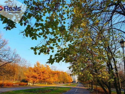 GENIALNE,OTOCZONE PARKAMI,POWIŚLE