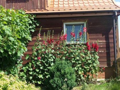 Dom w Nowym Franciszkowie gm. Opole Lubelskie.