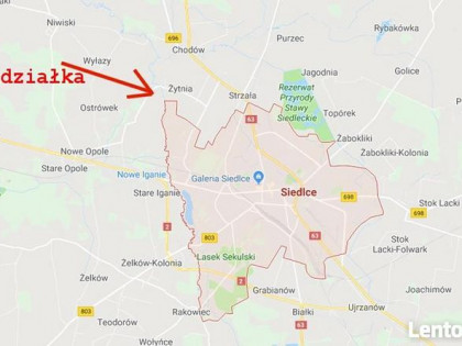 Siedlce, Opole Świerczyna - Działka rekreacyjna 2900 m2