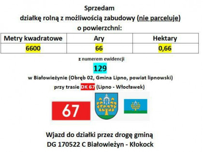 Pilnie sprzedam 0,66 ha działkę rolną w Białowieżynie