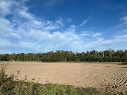 Działka budowlana Biskupice gm. Pobiedziska,