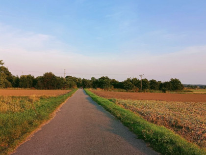 Działka Pustków Wilczkowski ul.  