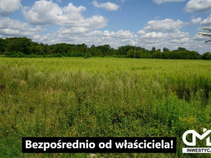 Działka 8000 m² Stanisławowo, gm. Pomiechówek