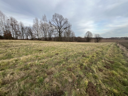 Działka wielofunkcyjna 0.87 ha w Kazimierzu Dolnym