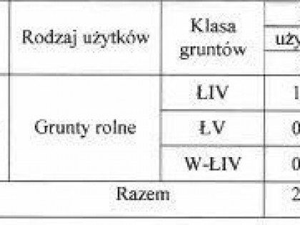 Syndyk sprzeda udział w niezabudowanej działce