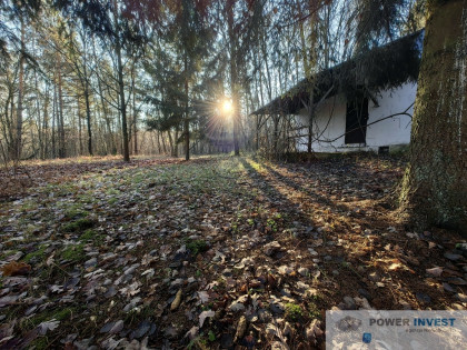 Urokliwa działka 0,5 ha z domkiem letnisk, SUNTAGO