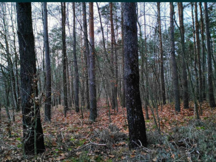 działka budowlana bugaj gmina Żytno powiat radomszczański wo