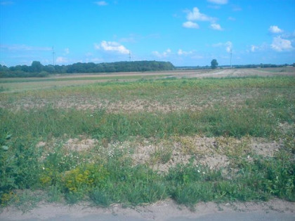 Działka Mirków