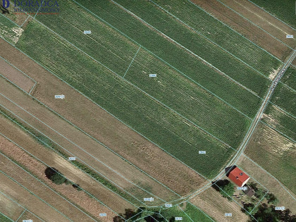 Działka Ryczów ul. Spacerowa