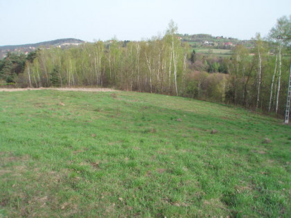 Czchów, działka budowlana w miejscowości wypoczynkowej.