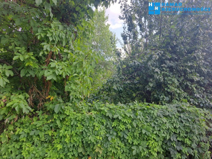 Działka z dostępem do wszystkich mediów