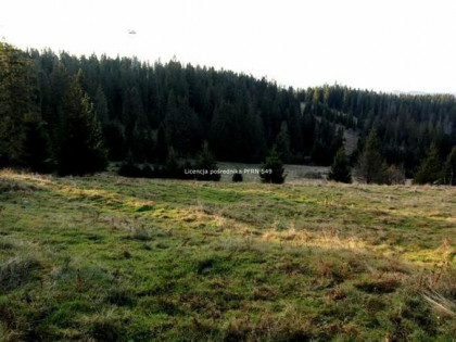 Działka o powierzchni 4290 m2