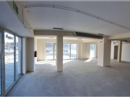 Lokal Świdnica okolice Centrum