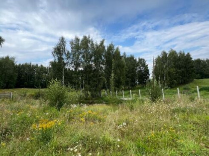 Malownicza działka w Otominie. Natura i Spokój