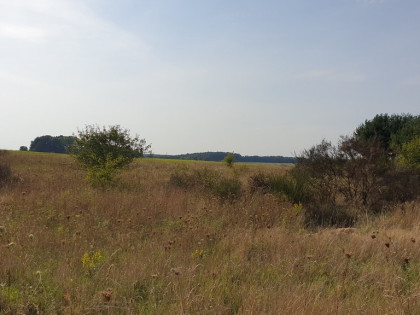 Działka na sprzedaż o pow. 993 m2, Charzyno