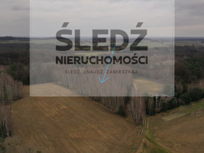 1,2 ha Działka Budowlana 45 min od Wrocławia + Las
