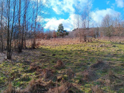 Działki budowlane blisko lasu, widoki, cisza