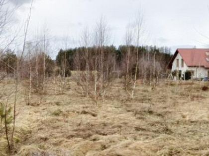 Działka budowlana Strzepcz gm. Linia, Aleja Zdrowia