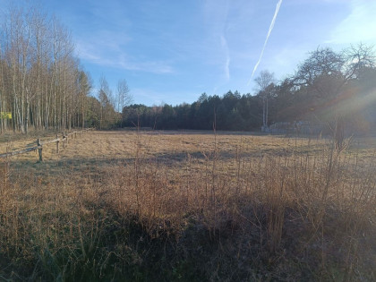 Działka Przybyszowy ul.  