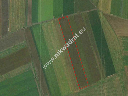 Ziemia rolna, Błonie, 50 % udziału Radzików