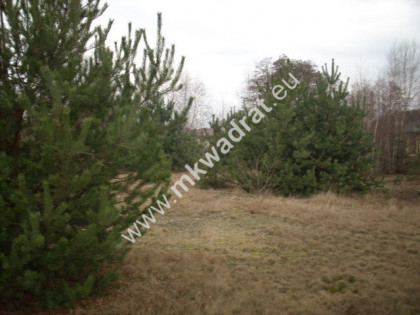 Okolice Grodziska Maz 1600m2 od mkwadrat.eu
