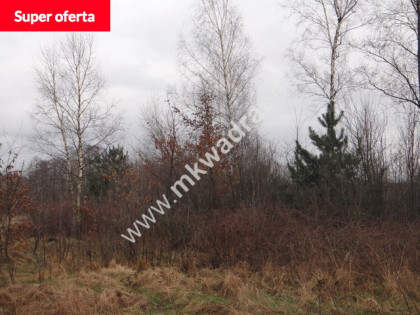 Oferta dla inwestorów duża powierzchnia Grodzisk Mazowiecki