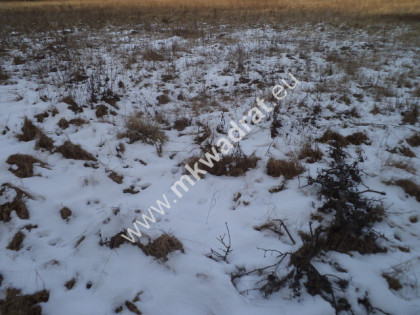 Działka Wymysłów Wymysłów