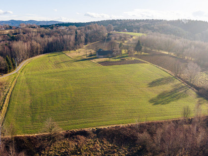 Działka leśna L4 34,40 ar Tuchów