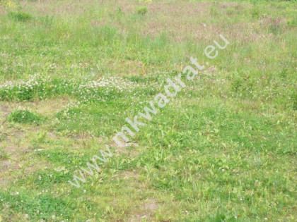 Działka usługowo - budowlana Jaktorów