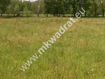 Działka budowlana 4740 m² Boża Wola Bronisławów