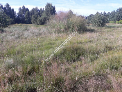 Działka Ursynów znakomita lokalizacja Warto! Warszawa