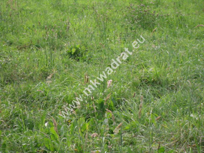 Działka Odrano-Wola Odrano-Wola