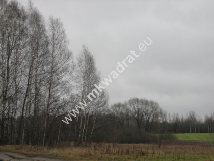 Radziejowice 31.900m2 przemysłowo-usługowa Radziejowice