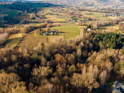 Działka leśna L3 38,45 ar Tuchów