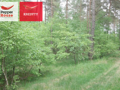 Działka Legbąd ul. Szkolna