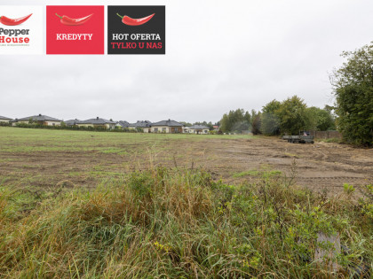 Działka Leźno ul. Aleja Lipowa