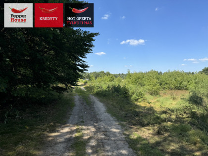 Działka Strzebielino ul.  