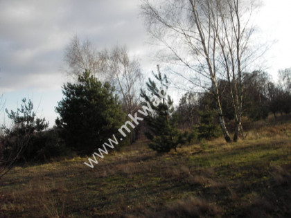 Żółwin 20.611m2 działka z domem