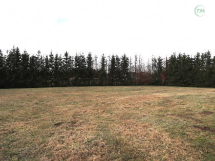 Brojce 2 domy, działka ponad 7000 m2. Hossoland!