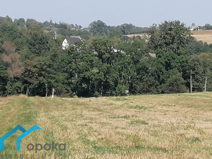 Działka Łączka ul. Wierzbowa