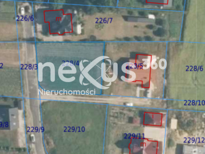 KARWINIEC - NOWA CENA - 11 ARÓW