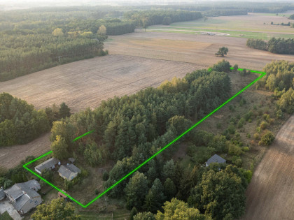 Działka z lasem i WZ, Sprzedaż 1,11 ha, Trzcianka